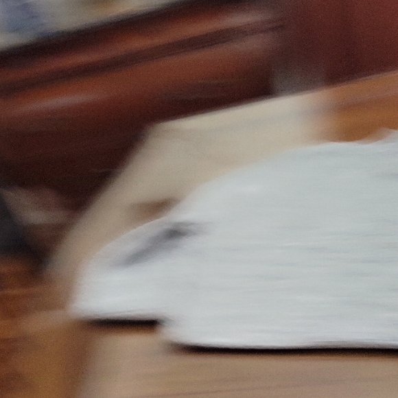 Athleta Gray and White Long Sleeve Top - Picture 7 of 10